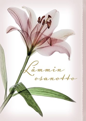 Suruadressi Roosa nauha