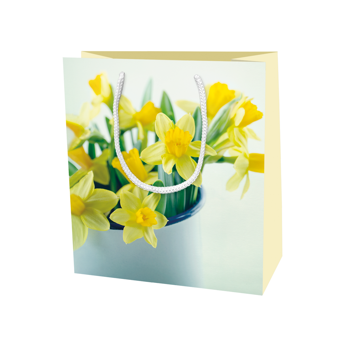 Lahjakassi M Anna-Mari West