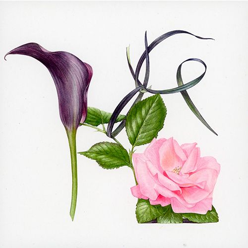 2-os neliökortti eko