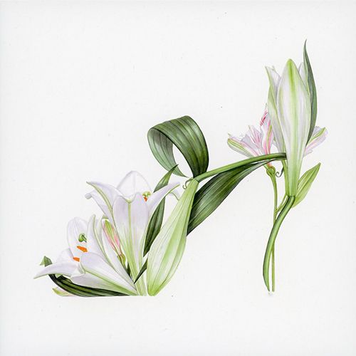 2-os neliökortti eko