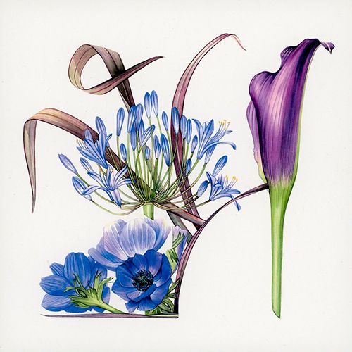 2-os neliökortti eko