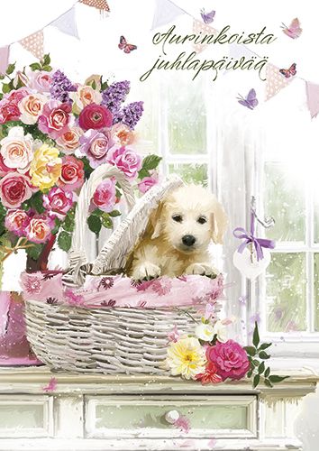 Postikortti onnittelu