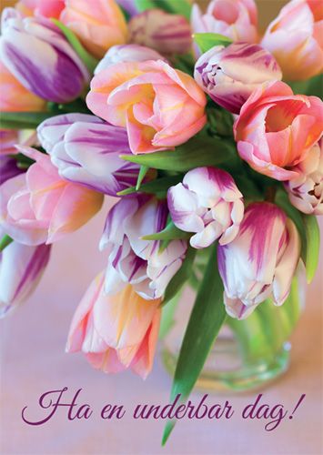 Postikortti ruotsinkielinen