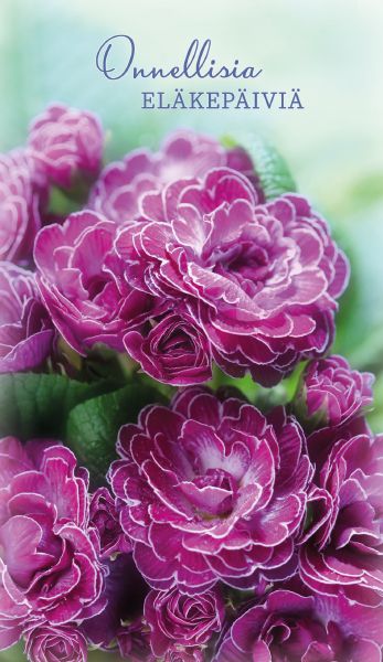 2-osainen kortti eläke