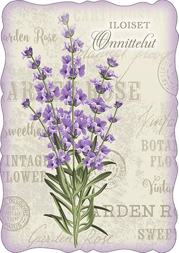 Postikortti onnittelu