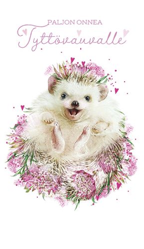 2-osainen vauvaonnittelu