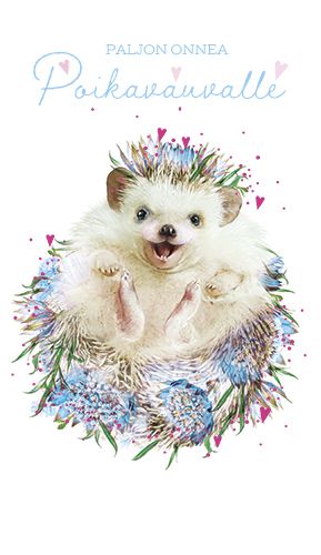 2-osainen vauvaonnittelu