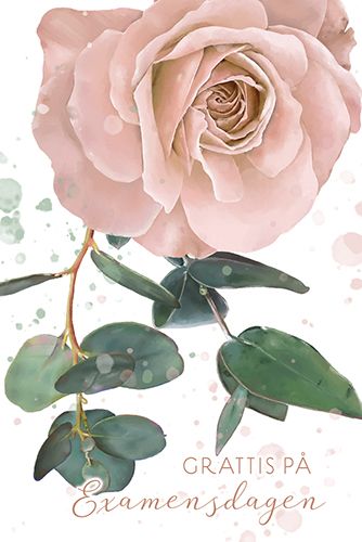 Pakettikortti valmistuneelle ruotsinkielinen