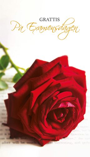 2-osainen kortti valmistunut ruotsinkielinen