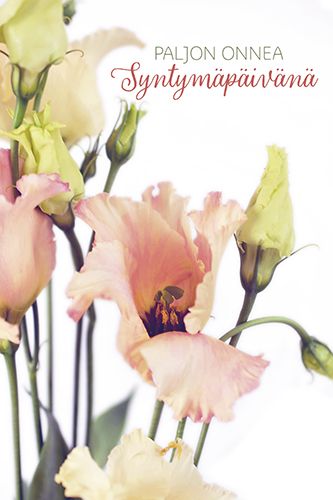 Pakettikortti syntymäpäivä