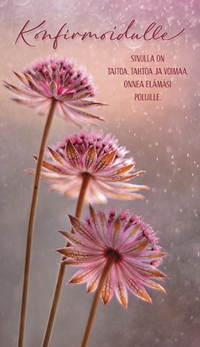 2-osainen rippikortti