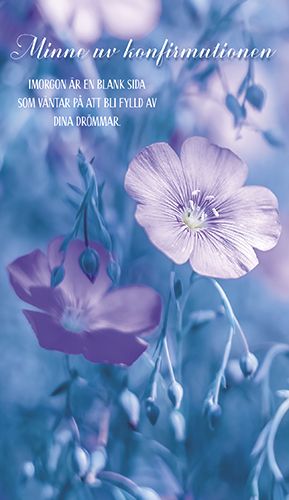 2-osainen rippikortti ruotsinkielinen