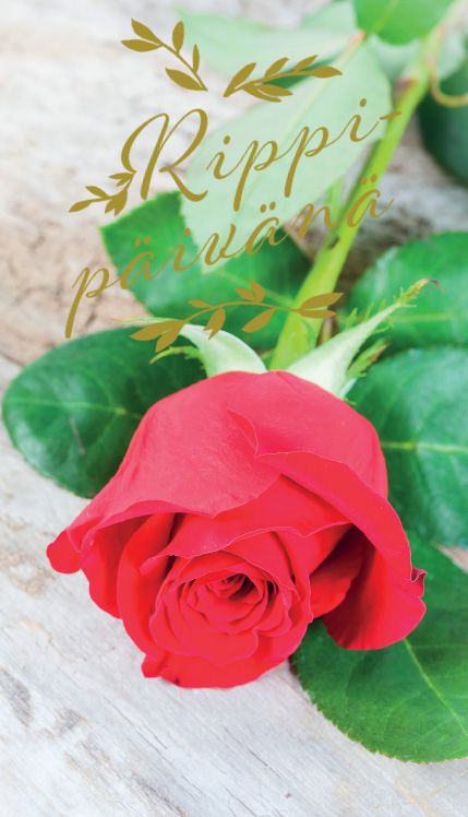 2-osainen rippikortti