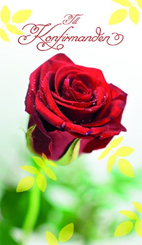 2-os rippi R setelitasku