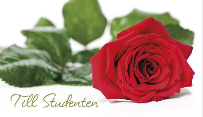 2-osainen Ylioppilas setelitaskukortti ruotsinkielinen