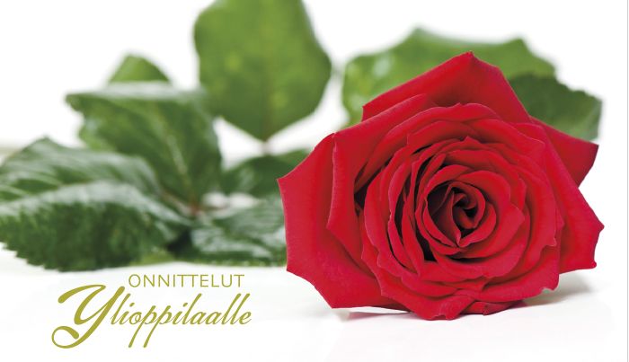 2-osainen Ylioppilaskortti setelitasku